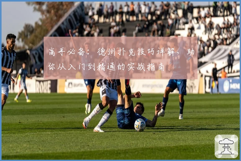 高手必备：德州扑克技巧详解，助你从入门到精通的实战指南