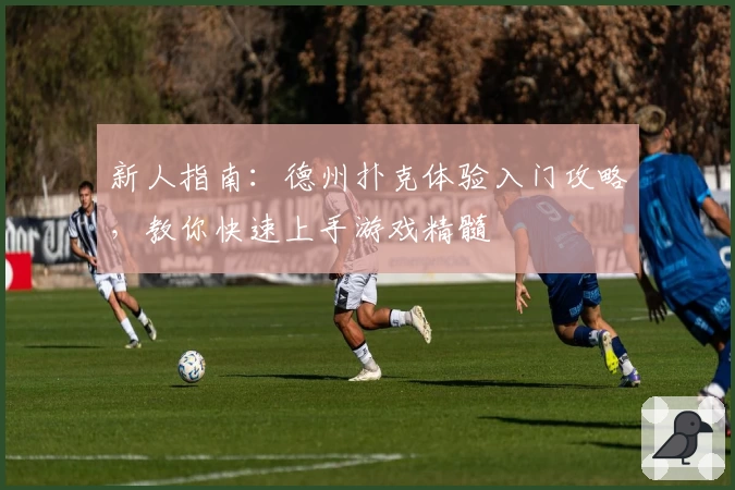 新人指南：德州扑克体验入门攻略，教你快速上手游戏精髓