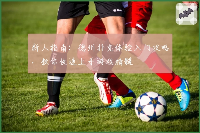 新人指南：德州扑克体验入门攻略，教你快速上手游戏精髓