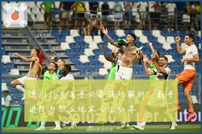 德州扑克高手必备技巧解析:新手进阶与职业玩家心法分享