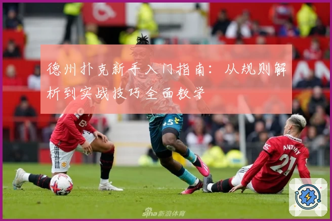 德州扑克新手入门指南：从规则解析到实战技巧全面教学